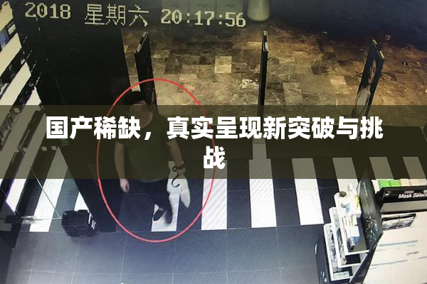 国产稀缺，真实呈现新突破与挑战