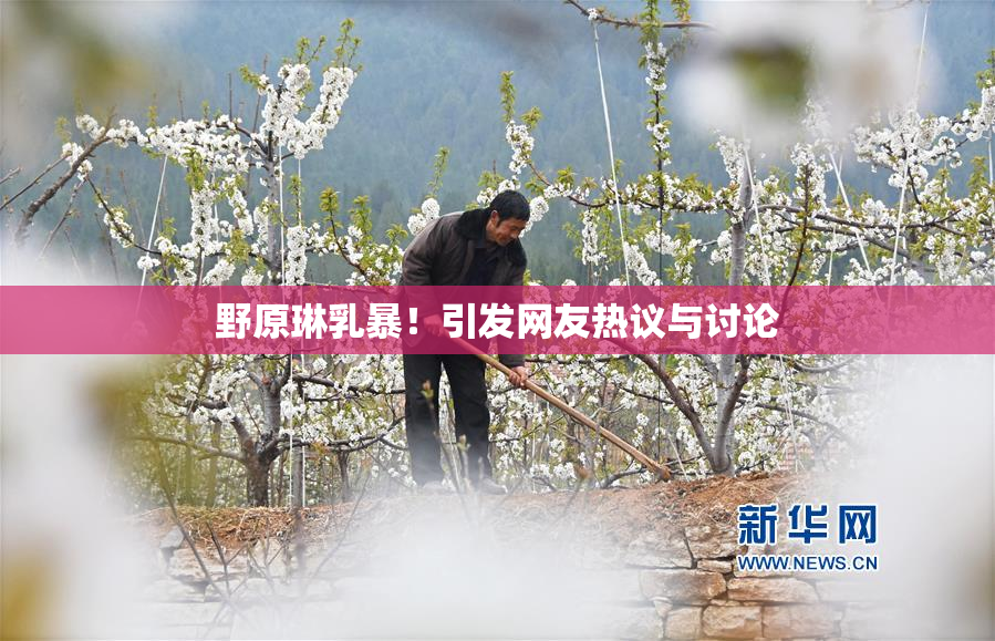 野原琳乳暴！引发网友热议与讨论