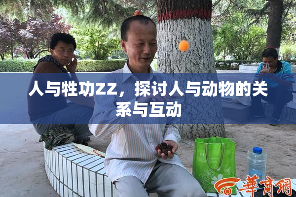 人与牲功ZZ，探讨人与动物的关系与互动