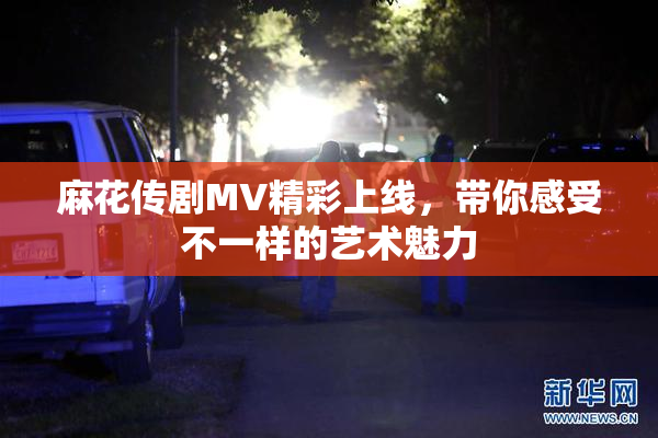 麻花传剧MV精彩上线，带你感受不一样的艺术魅力