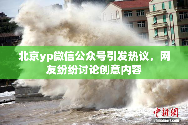北京yp微信公众号引发热议，网友纷纷讨论创意内容