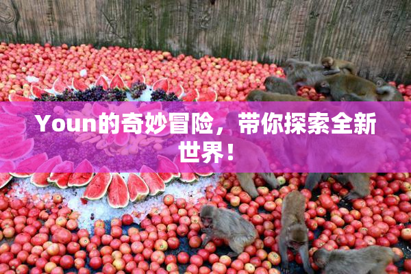 Youn的奇妙冒险，带你探索全新世界！