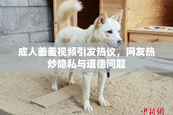 成人羞羞视频引发热议，网友热炒隐私与道德问题