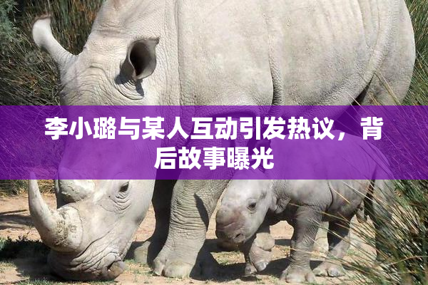李小璐与某人互动引发热议，背后故事曝光