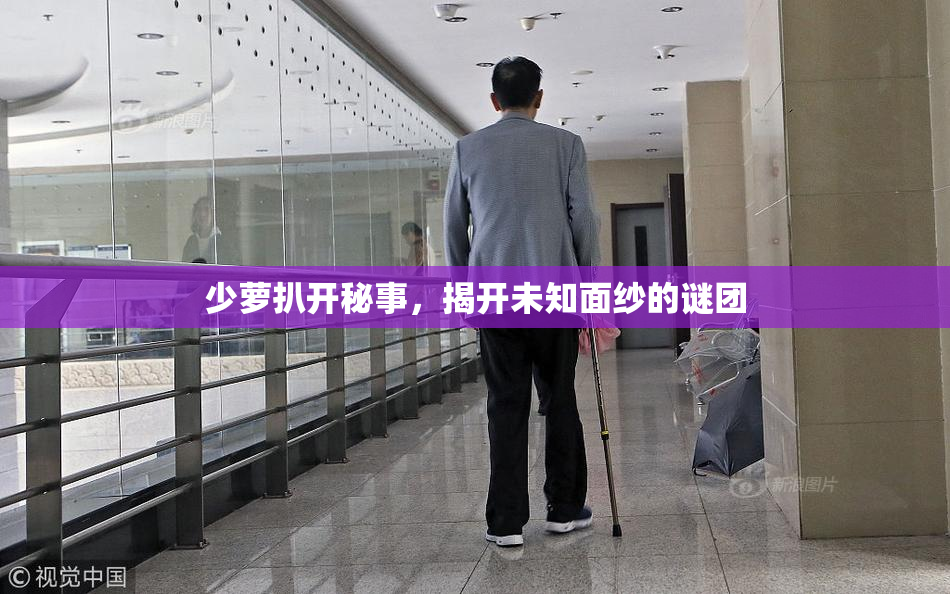 少萝扒开秘事，揭开未知面纱的谜团