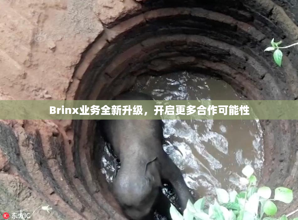 Brinx业务全新升级，开启更多合作可能性