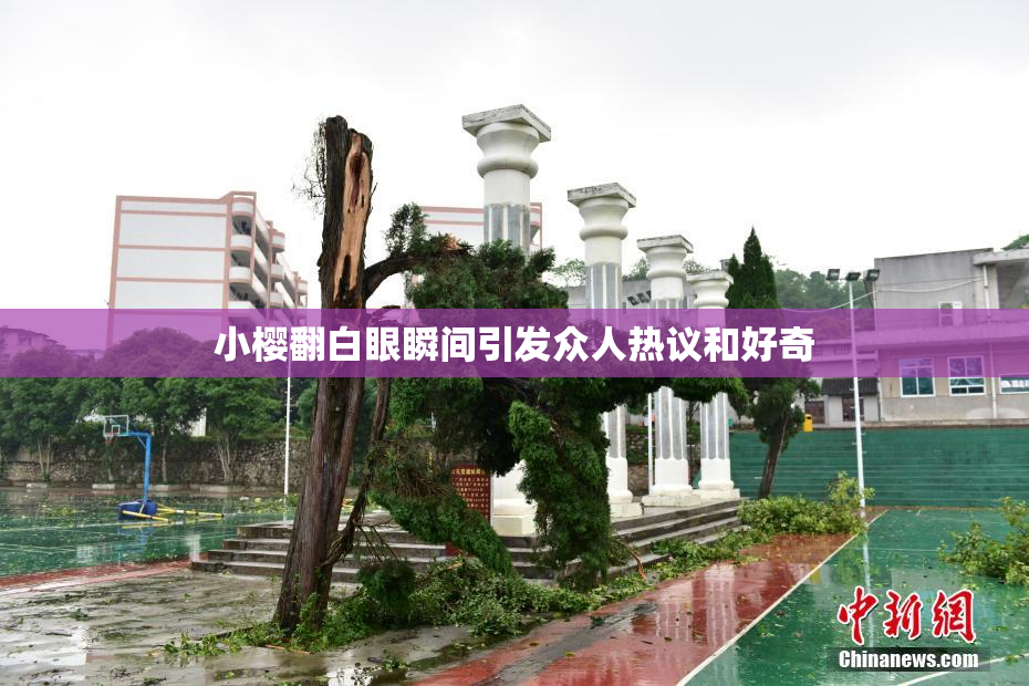 小樱翻白眼瞬间引发众人热议和好奇