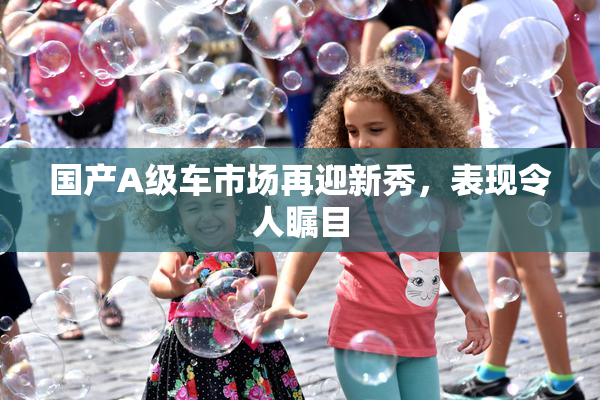 国产A级车市场再迎新秀，表现令人瞩目