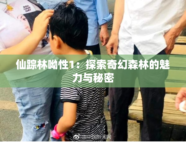 仙踪林呦性1：探索奇幻森林的魅力与秘密
