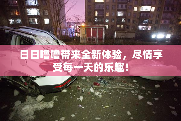 日日噜噜带来全新体验，尽情享受每一天的乐趣！