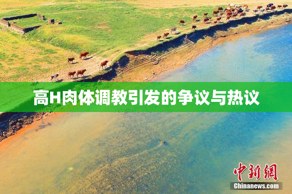 高H肉体调教引发的争议与热议
