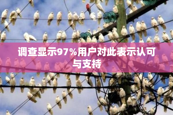 调查显示97%用户对此表示认可与支持