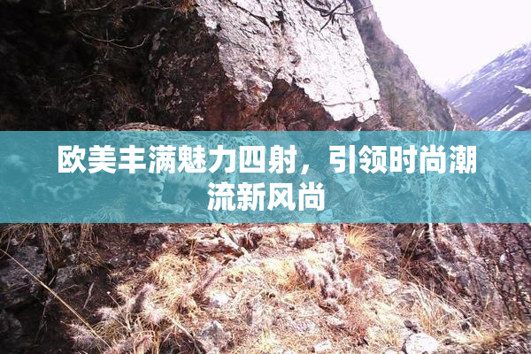 欧美丰满魅力四射，引领时尚潮流新风尚