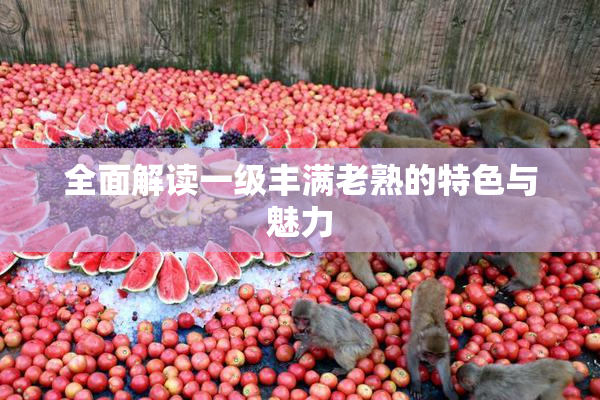 全面解读一级丰满老熟的特色与魅力