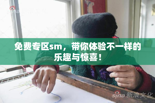 免费专区sm，带你体验不一样的乐趣与惊喜！