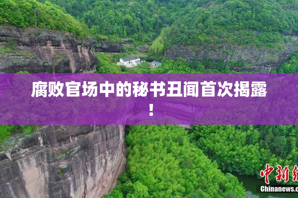 腐败官场中的秘书丑闻首次揭露！