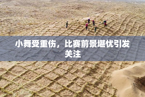 小舞受重伤，比赛前景堪忧引发关注
