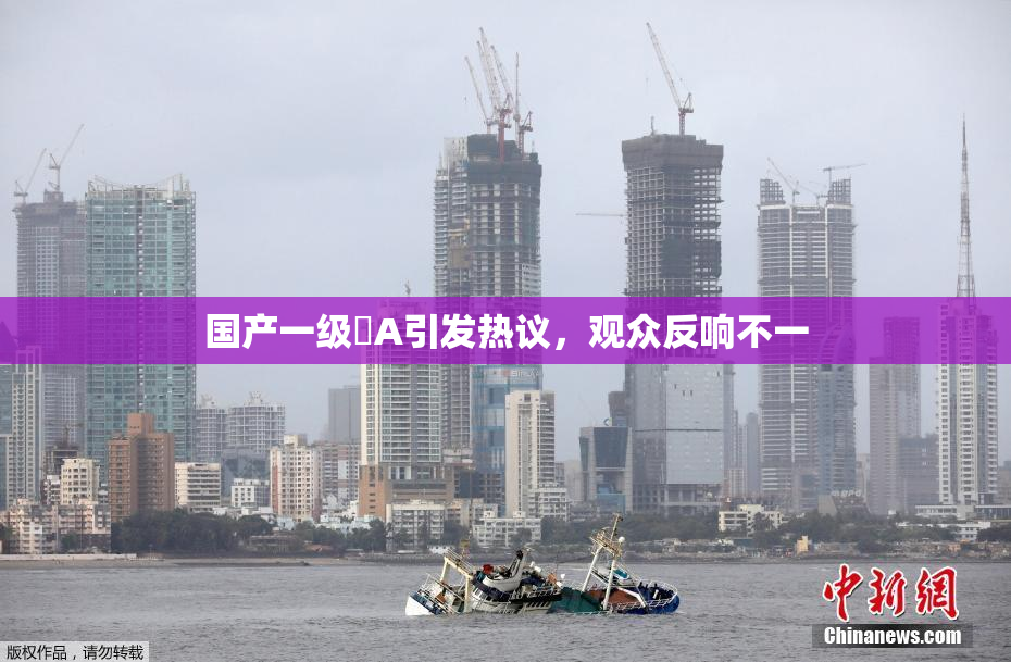 国产一级婬A引发热议，观众反响不一