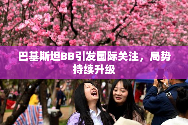 巴基斯坦BB引发国际关注，局势持续升级