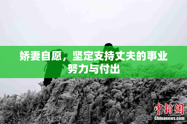 娇妻自愿，坚定支持丈夫的事业努力与付出