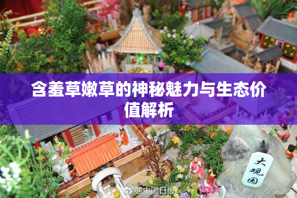 含羞草嫩草的神秘魅力与生态价值解析