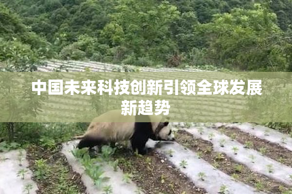中国未来科技创新引领全球发展新趋势