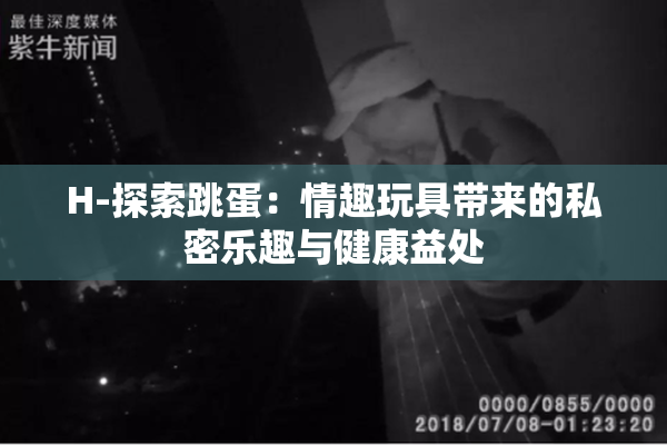 H-探索跳蛋：情趣玩具带来的私密乐趣与健康益处
