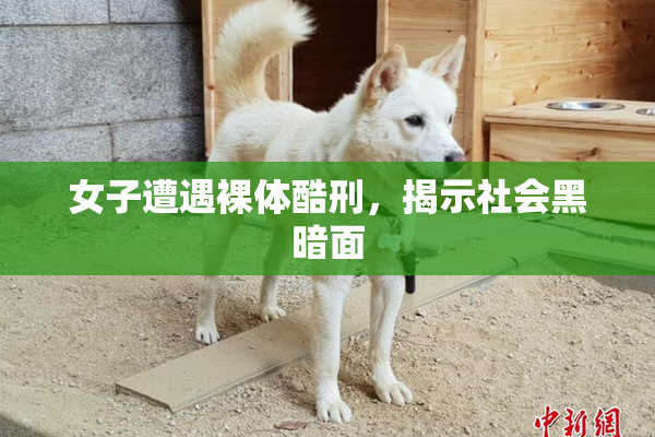 女子遭遇裸体酷刑，揭示社会黑暗面