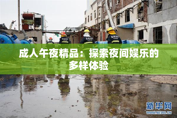 成人午夜精品：探索夜间娱乐的多样体验