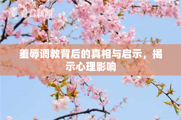 羞辱调教背后的真相与启示，揭示心理影响