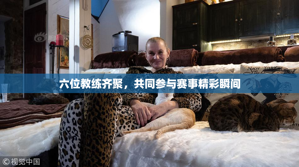 六位教练齐聚，共同参与赛事精彩瞬间