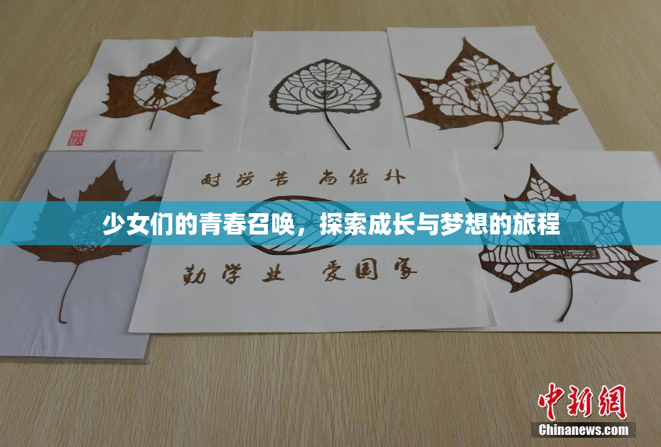少女们的青春召唤，探索成长与梦想的旅程