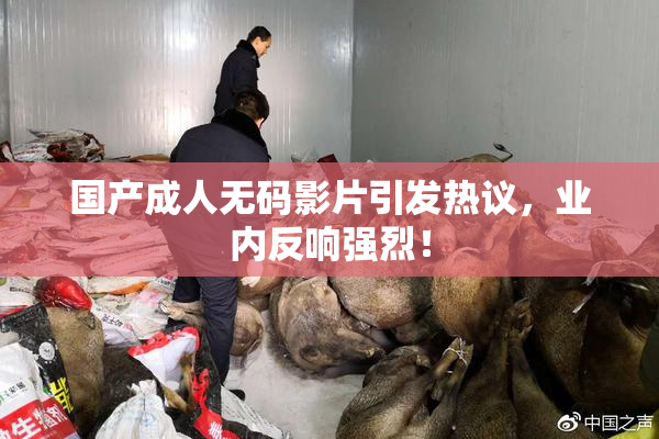 国产成人无码影片引发热议，业内反响强烈！