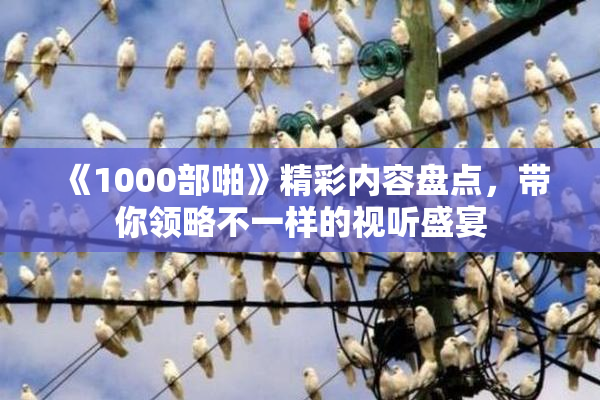 《1000部啪》精彩内容盘点，带你领略不一样的视听盛宴