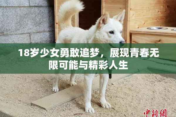 18岁少女勇敢追梦，展现青春无限可能与精彩人生