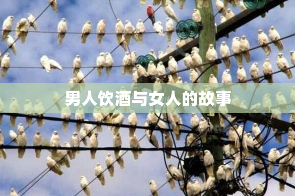 男人饮酒与女人的故事