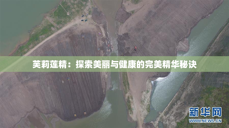 芙莉莲精：探索美丽与健康的完美精华秘诀
