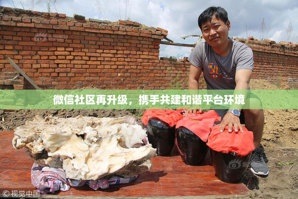 微信社区再升级，携手共建和谐平台环境