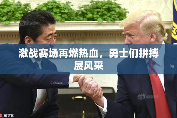 激战赛场再燃热血，勇士们拼搏展风采