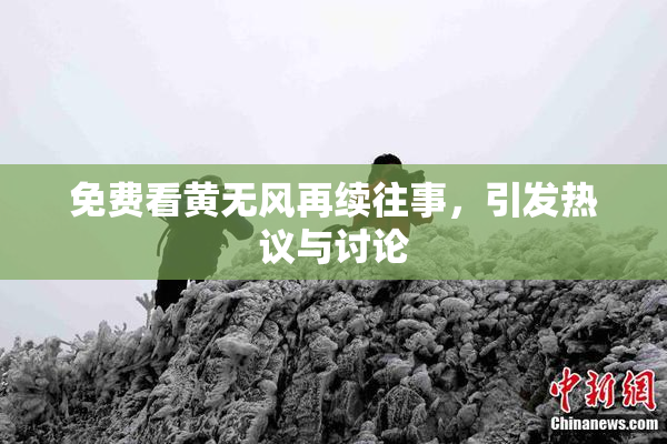 免费看黄无风再续往事，引发热议与讨论