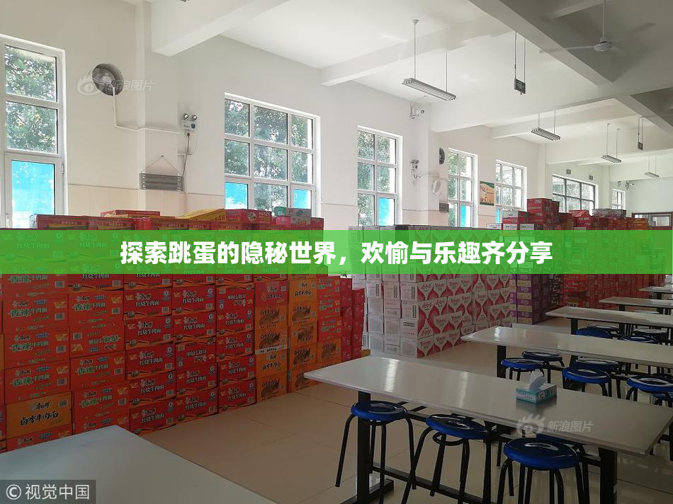 探索跳蛋的隐秘世界，欢愉与乐趣齐分享