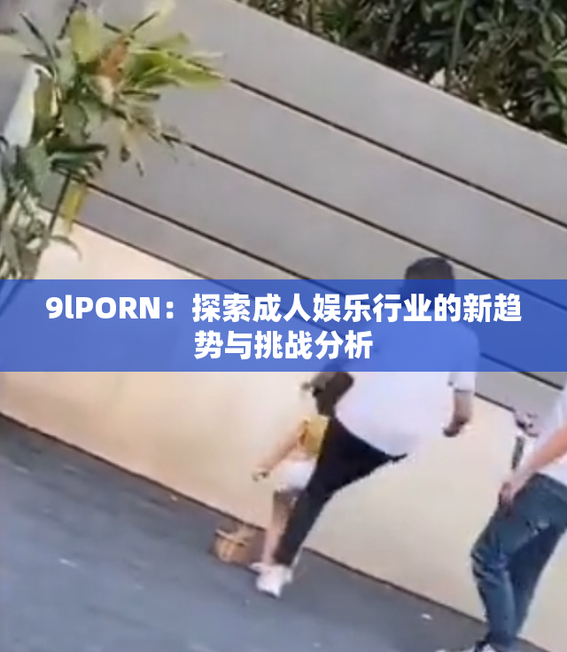 9lPORN：探索成人娱乐行业的新趋势与挑战分析