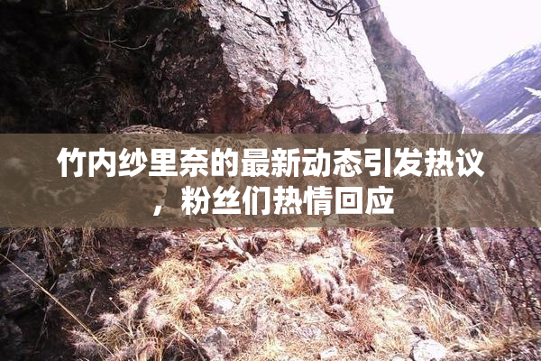 竹内纱里奈的最新动态引发热议，粉丝们热情回应