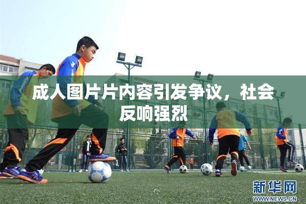 成人图片片内容引发争议，社会反响强烈