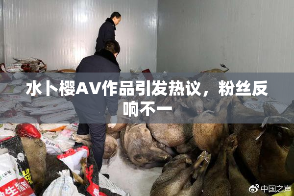 水卜樱AV作品引发热议，粉丝反响不一