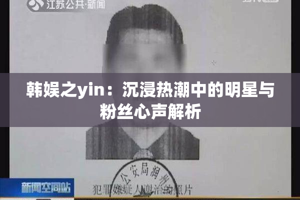 韩娱之yin：沉浸热潮中的明星与粉丝心声解析