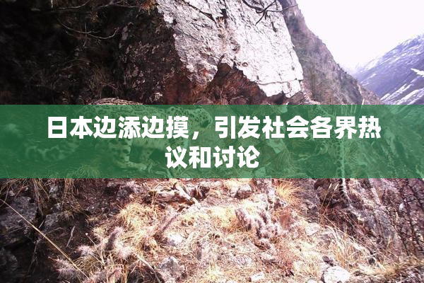 日本边添边摸，引发社会各界热议和讨论