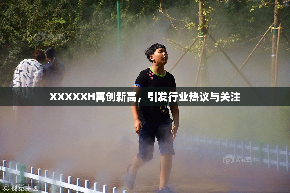 XXXXXH再创新高，引发行业热议与关注