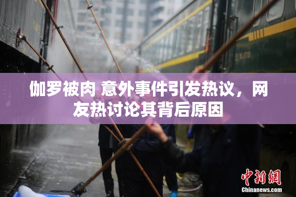 伽罗被肉 意外事件引发热议，网友热讨论其背后原因
