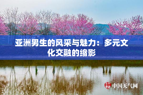 亚洲男生的风采与魅力：多元文化交融的缩影